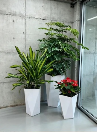 海曙花木租摆布置五大方法，简单有效